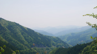 Thumbnail of post image 162