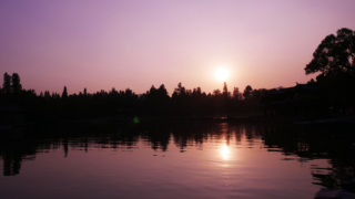 Thumbnail of post image 149