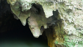 Thumbnail of post image 032