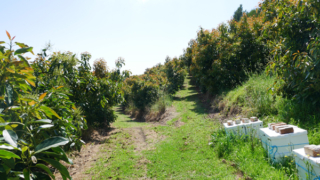 Thumbnail of post image 093