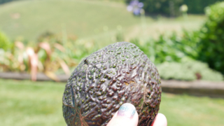 Thumbnail of post image 007