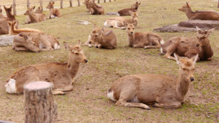 Thumbnail of post image 017