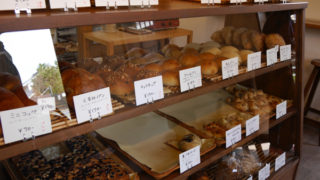 Thumbnail of post image 083