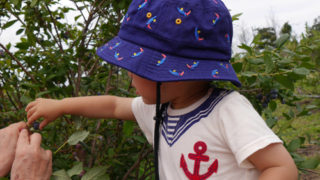 Thumbnail of post image 162