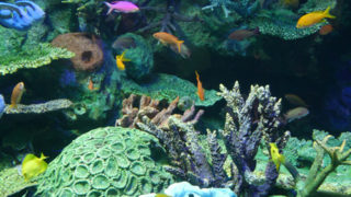 Thumbnail of post image 076