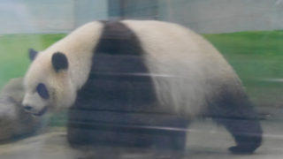 Thumbnail of post image 177