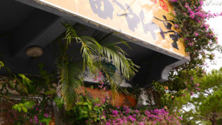 Thumbnail of post image 057