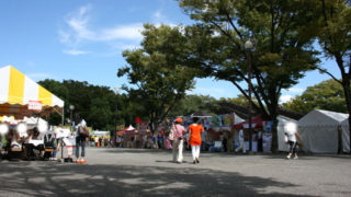 Thumbnail of post image 186