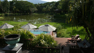 Thumbnail of post image 132