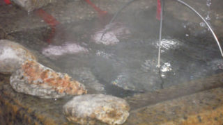 Thumbnail of post image 053