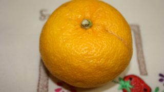 Thumbnail of post image 139