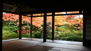 Thumbnail of post image 012