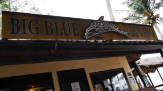 Thumbnail of post image 041