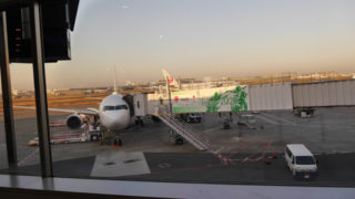 Thumbnail of post image 106