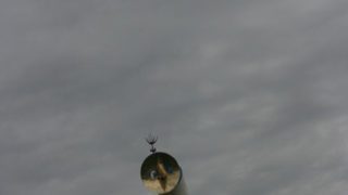 Thumbnail of post image 026
