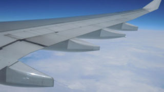 Thumbnail of post image 054