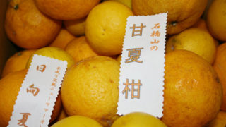 Thumbnail of post image 100