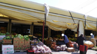 Thumbnail of post image 180