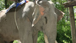 Thumbnail of post image 060