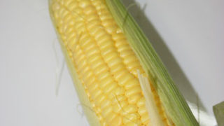 Thumbnail of post image 059