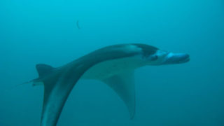 Thumbnail of post image 079