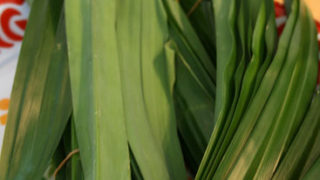 Thumbnail of post image 067