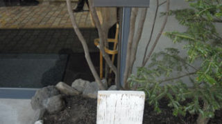 Thumbnail of post image 167