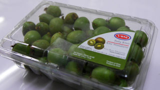 Thumbnail of post image 095