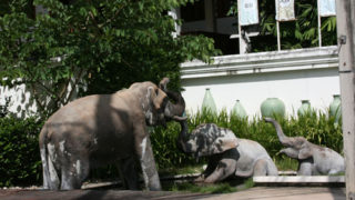 Thumbnail of post image 050