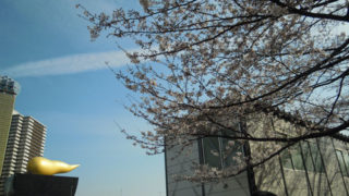 Thumbnail of post image 007
