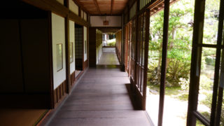 Thumbnail of post image 166
