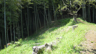 Thumbnail of post image 196