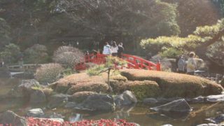 Thumbnail of post image 163