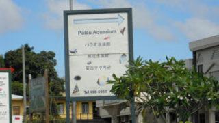 Thumbnail of post image 096