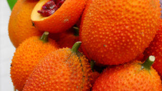 Thumbnail of post image 048