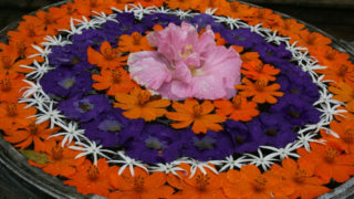 Thumbnail of post image 173