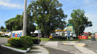Thumbnail of post image 135