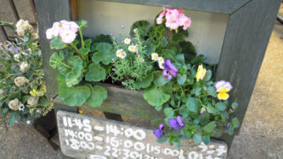Thumbnail of post image 052