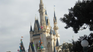 Thumbnail of post image 106