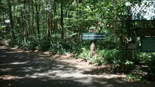 Thumbnail of post image 103