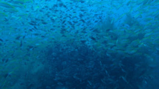 Thumbnail of post image 110