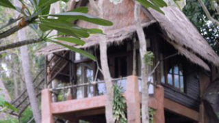 Thumbnail of post image 151