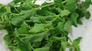 Thumbnail of post image 093
